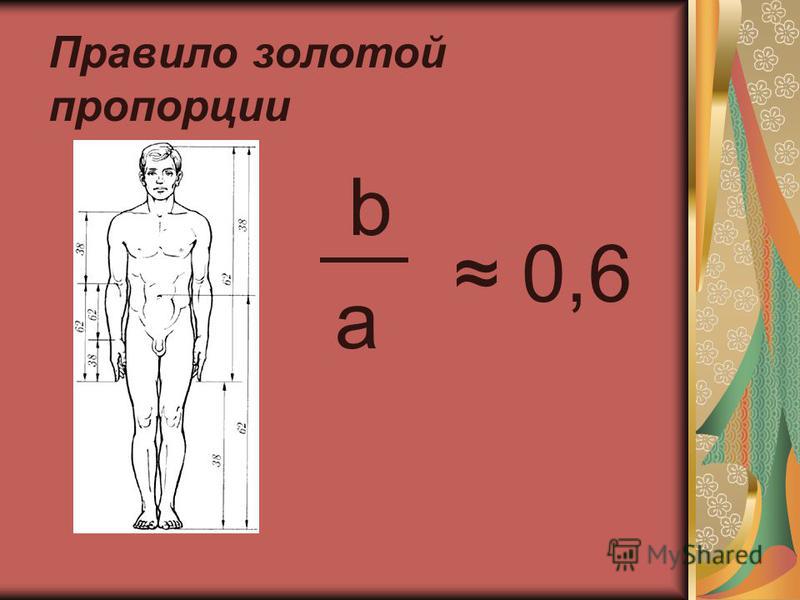 Пропорции б. Пропорции. Золотое правило пропорции. Пропорции картинки. Золотое сечение формула красоты.