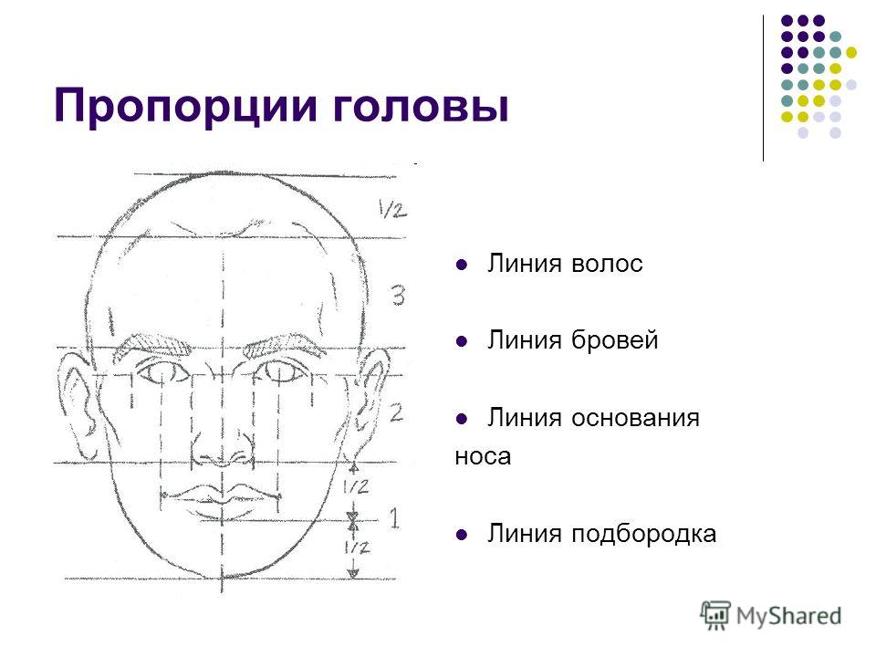 Лицо часть головы человека