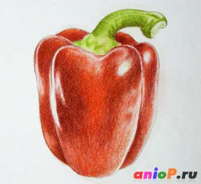 Рисуем красный перец цветными карандашами