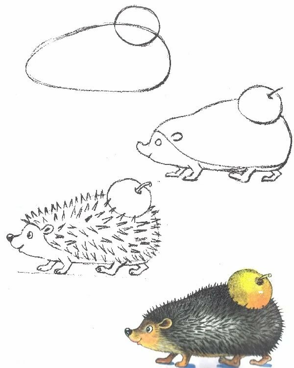 еж рисунок легко. рисование ежик. ежик рисунок. ежик рисунок для детей. рисование ежик.