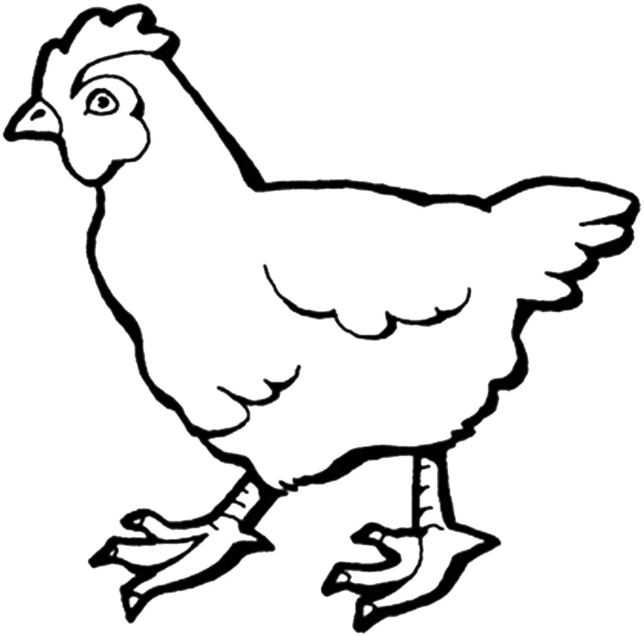 Как нарисовать настоящую курицу. 