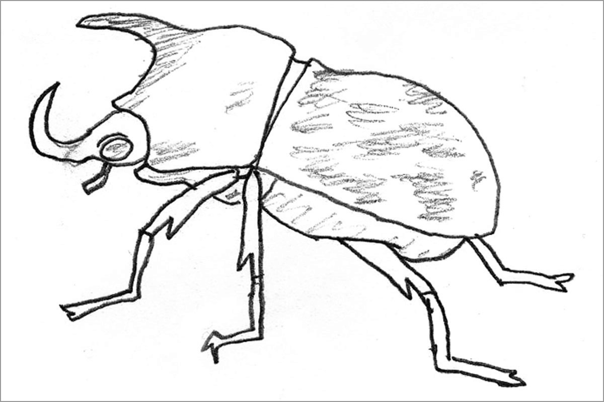 Рисунок жука носорога детский рисунок