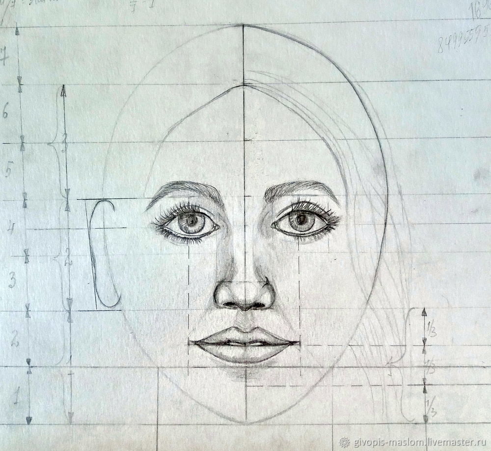 Строишь какое лицо. Пропорции лица. Лицо рисунок. Портрет построение лица. Портрет карандашом пропорции лица.