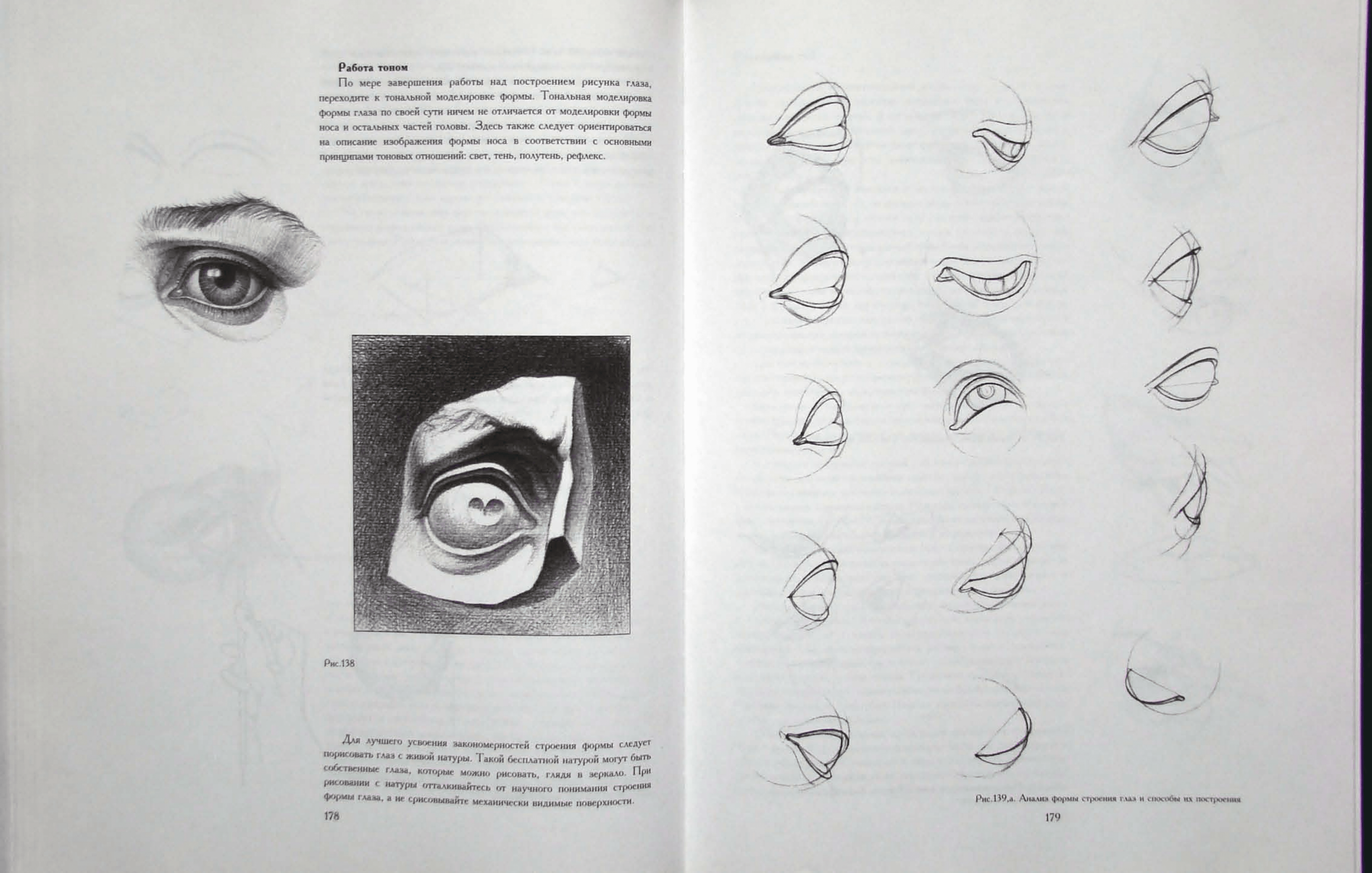 Строение глаза Николай ли