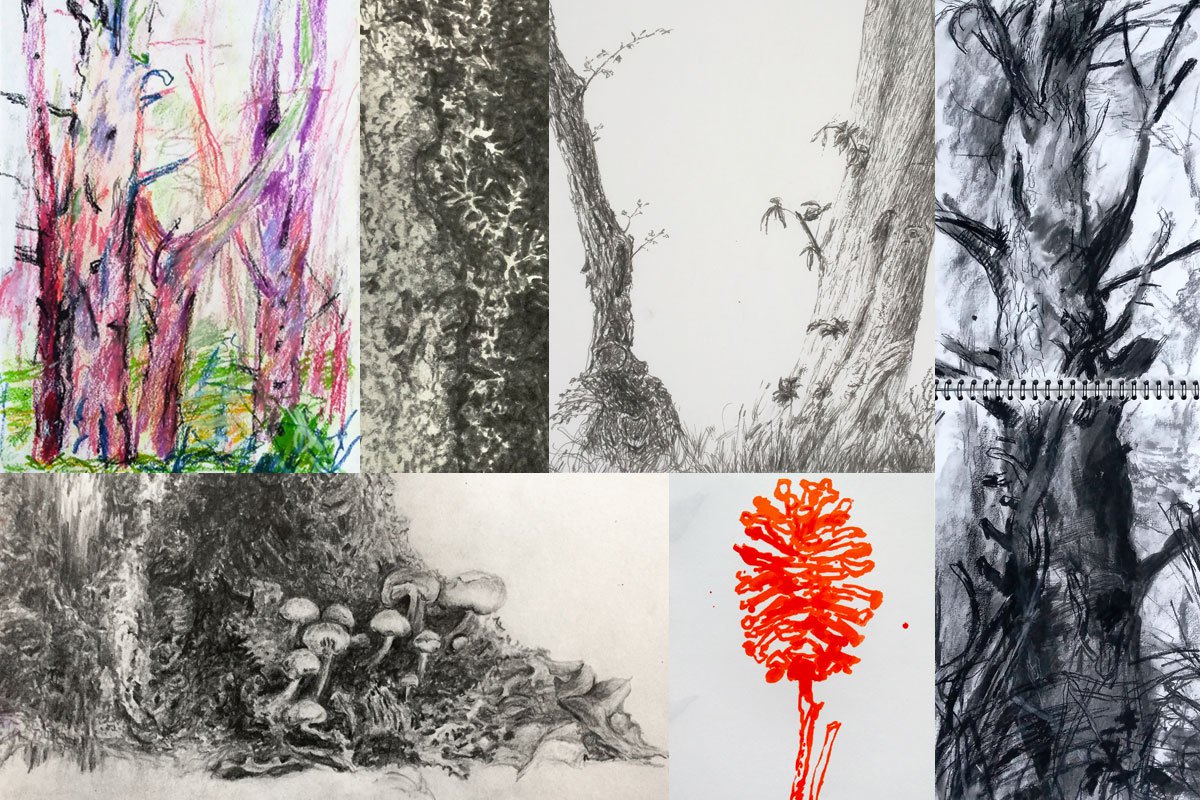 Tree drawings by Margaret Kerr and Blair Thomson