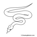 how-to-draw-a-snake-step-6-drawingmentor