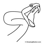 how-to-draw-a-snake-striking-step-5-drawingmentor