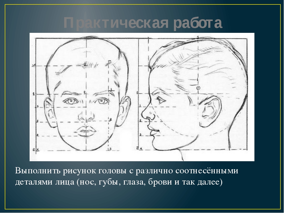 Тема лоб. Конструкция головы человека. Изображение головы. Пропорции лица 6 класс изо. Пропорции головы и лица.