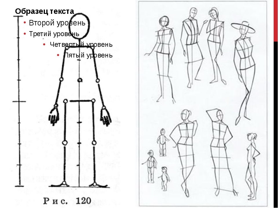 Какие фигуры человека выше внимательно рассмотрите рисунок. Фигура человека рисунок схематичный. Схематичные фигуры человека в статичном состоянии. Последовательность построения человека. Иллюстрации с изображением фигуры человека.