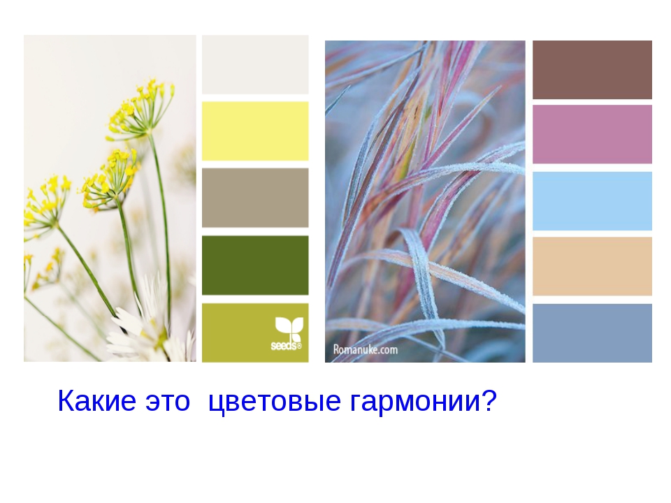 Определенное сочетание. Цветовые гармонии. Гармония цветов. Цветовые гармонии примеры. Сочетание цветов изо.