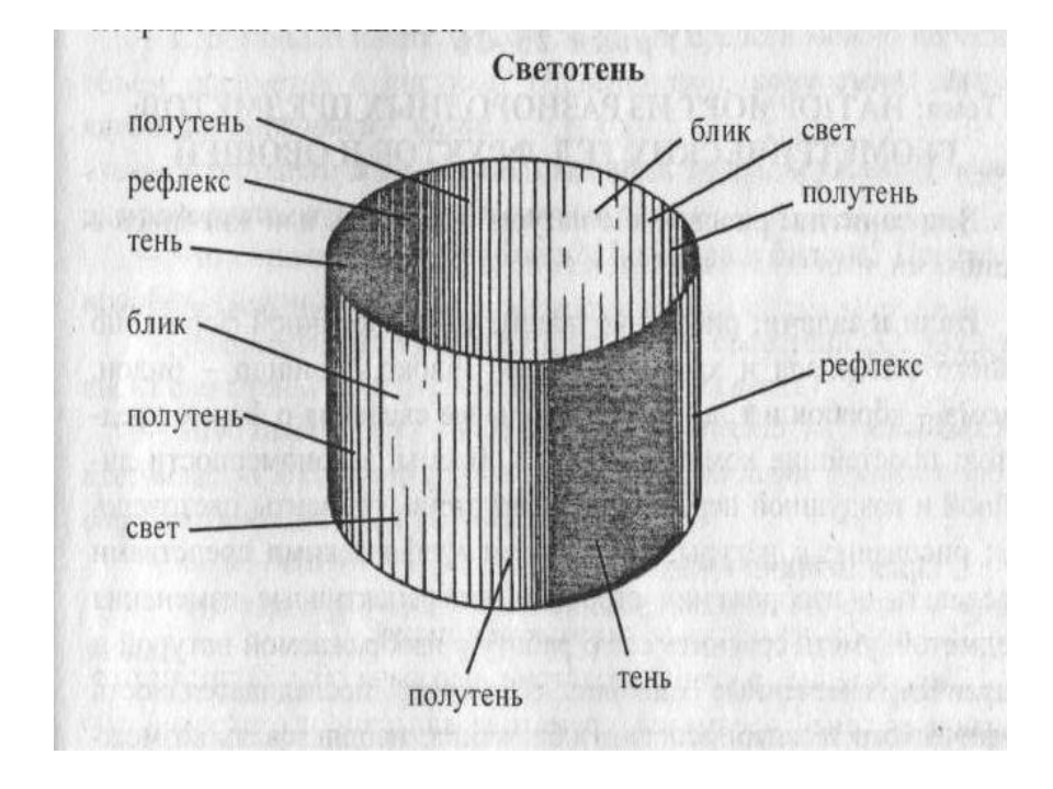 Законы света и тени в рисунке