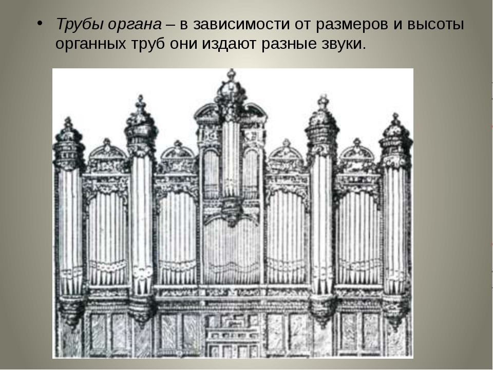 Орган рисунок 2 класс