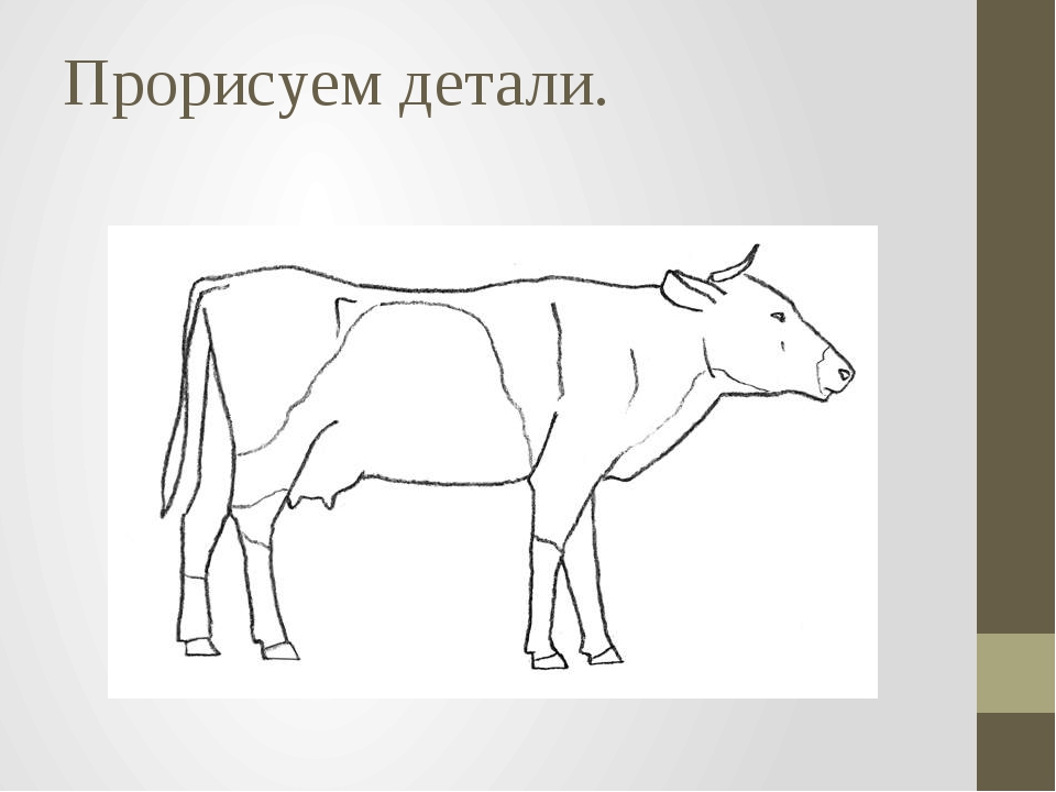 Как легко нарисовать корову. Корова рисунок карандашом легко. Рисование коровы эскиз. Корова рисунок карандашом поэтапно. Корова рисунок карандашом для детей.