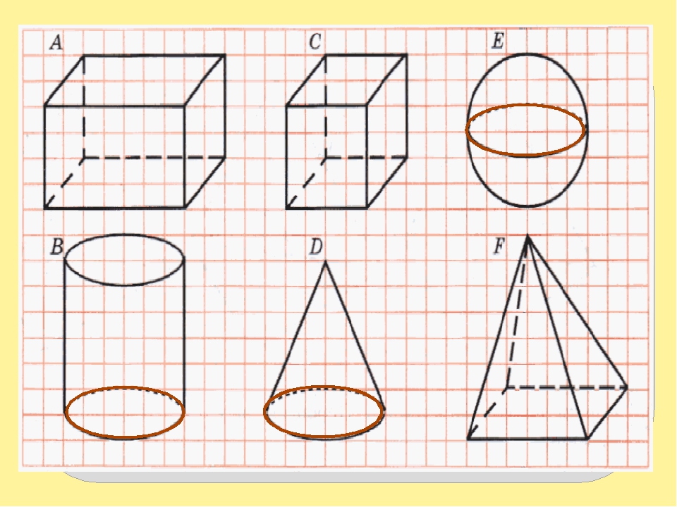 Чертеж по математике. Изображение пространственных фигур 6 класс. Пространственные фигуры тест. Черчение по клеткам всех пространственных фигур. Фигуры пространственные Рея.