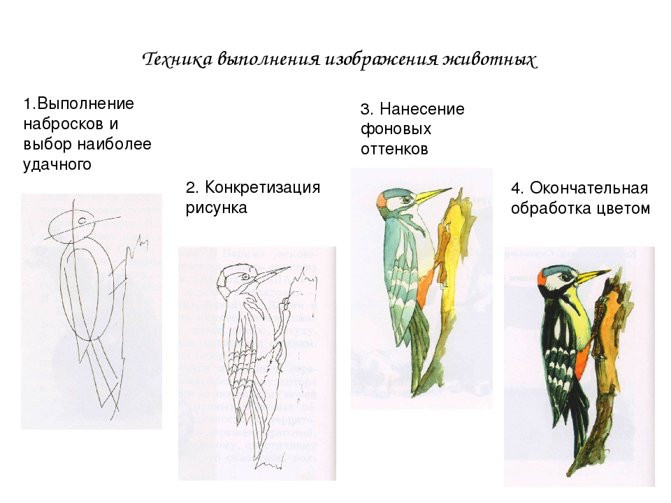 Техника исполнения рисунка что это