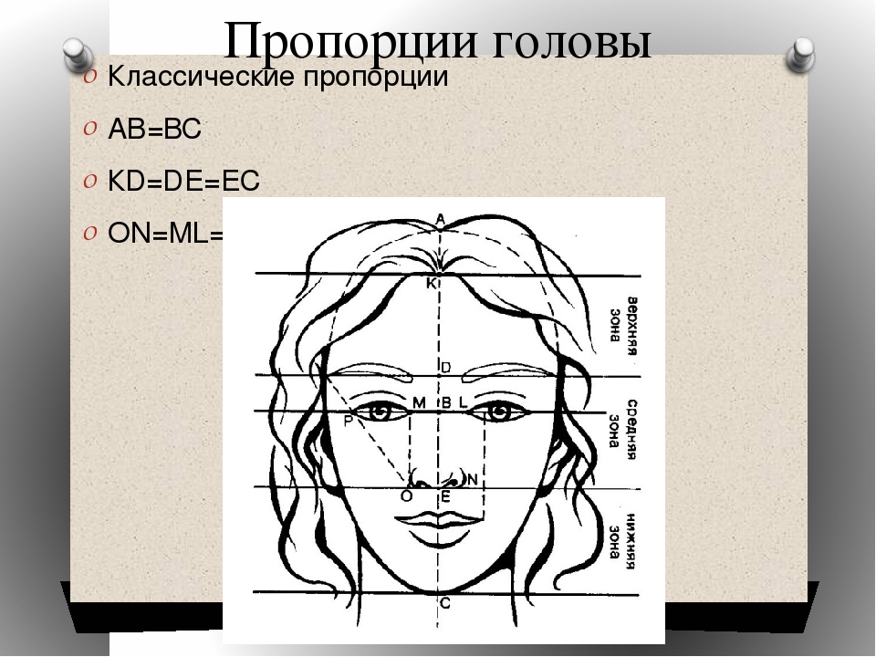 С чего следует начать рисунок головы человека