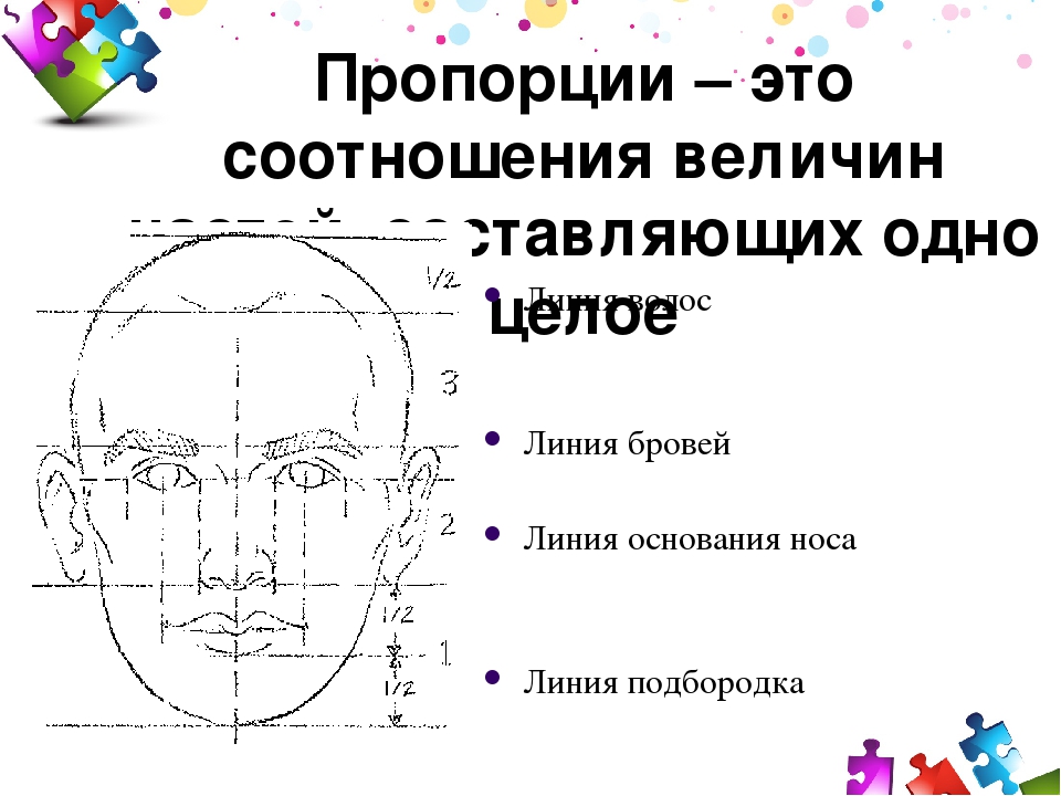 Пропорции носа. Конструкция головы человека. Конструкция головы пропорции. Конструкция и пропорции человека лица. Конструкция головы чкловека и её пропорции.