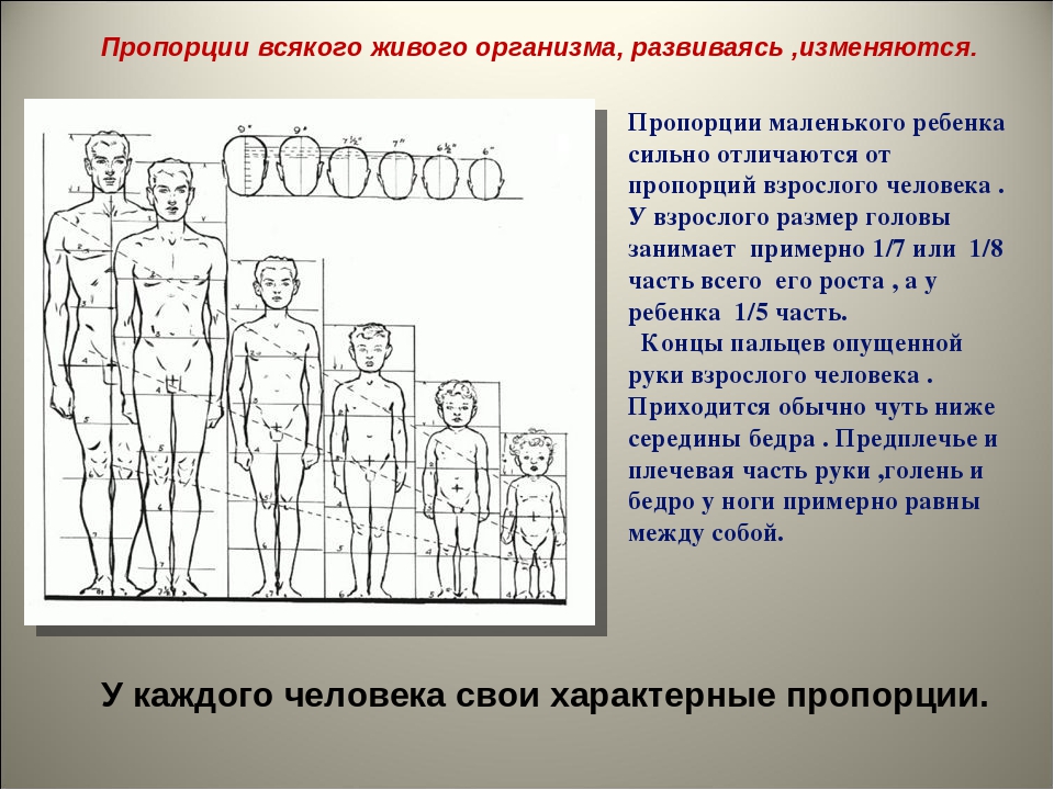 Несоблюдение пропорций подчеркнутая геометризация рисунка является нормой для детей