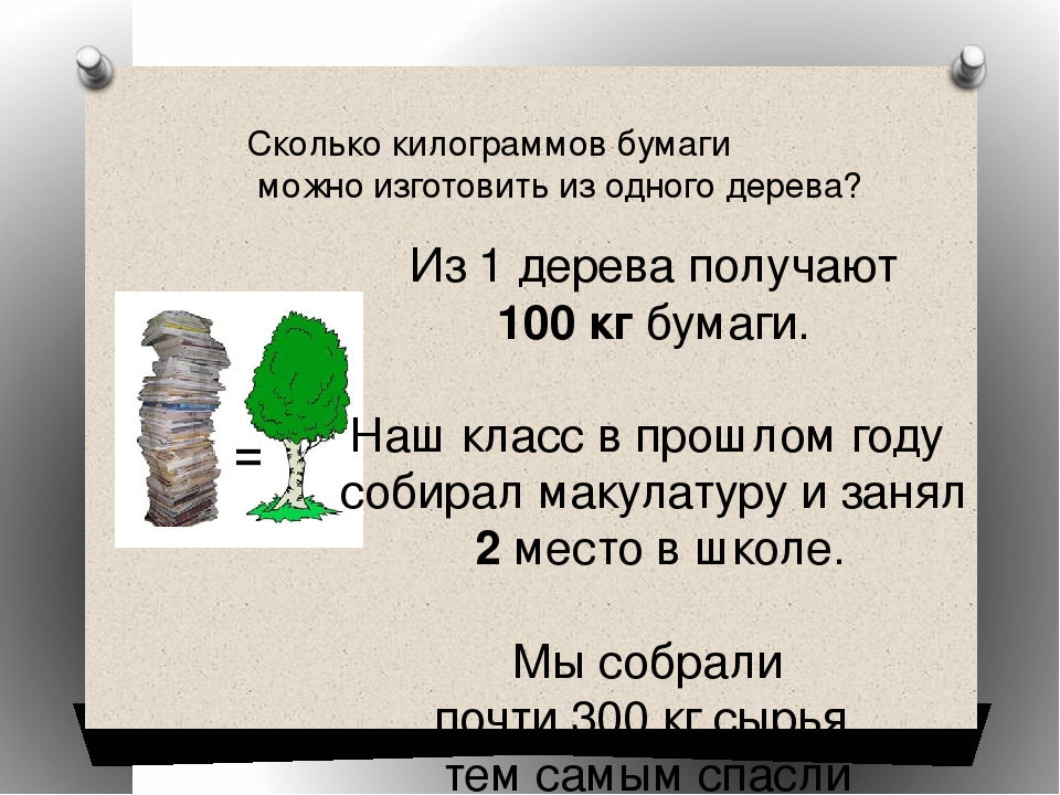 Количество бумаги в россии. Сколько бумаги получают из 1 дерева. Сколько бумаги из 1 дерева. Сколько килограммов получается из одного дерева. Сколько деревьев нужно для изготовления пачки бумаги.