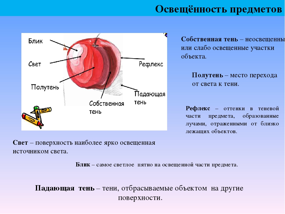 Блик свет тень полутень рефлекс блик в рисунке