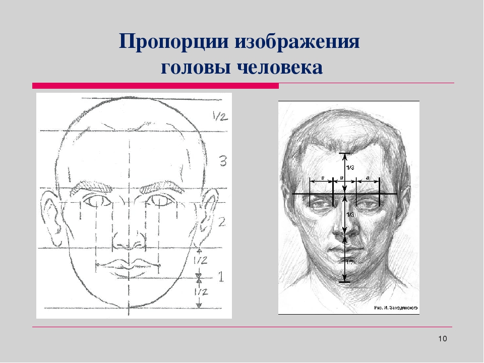 Изображение головы человека 6 класс изо