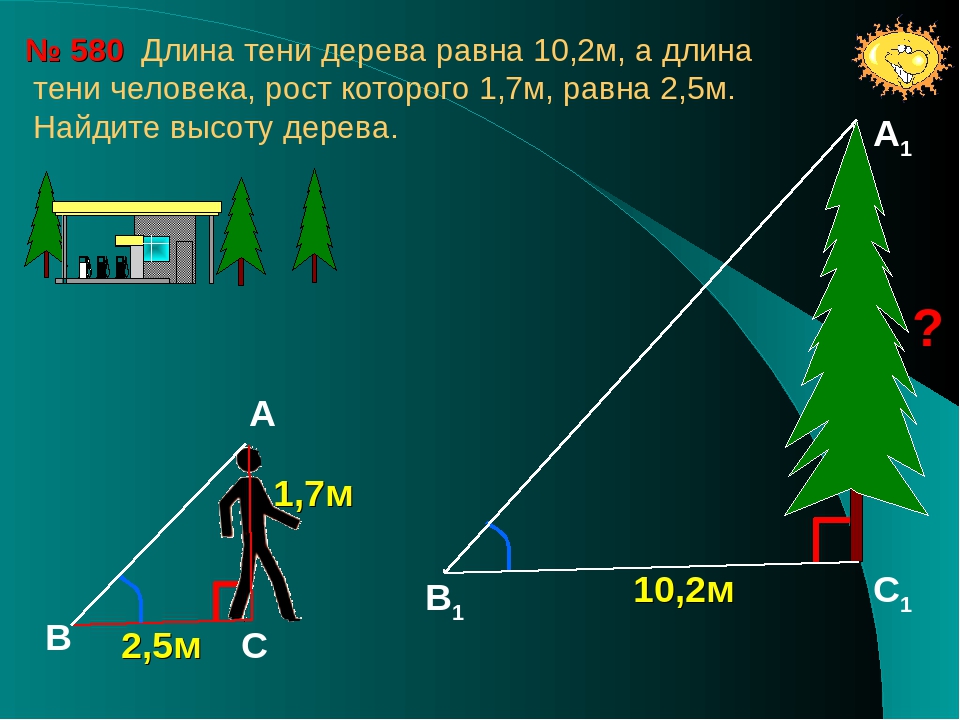 6 10 метров найти. Высота предмета по тени. Измерение высоты дерева по тени. Как найти длину тени. Определение длины тени.