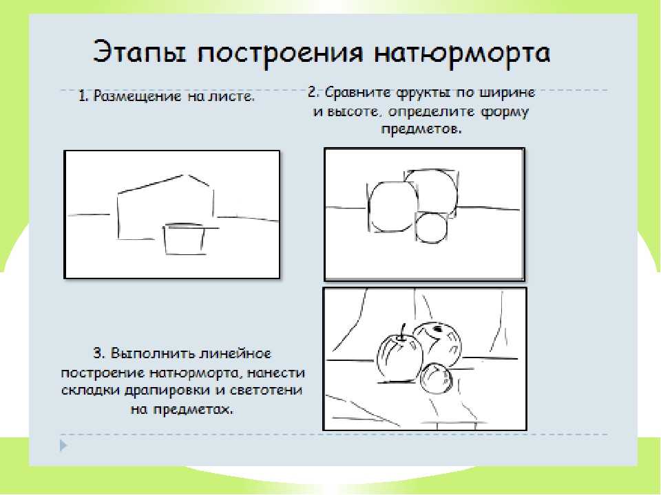 Определите последовательность основных этапов выполнения рисунка с натуры