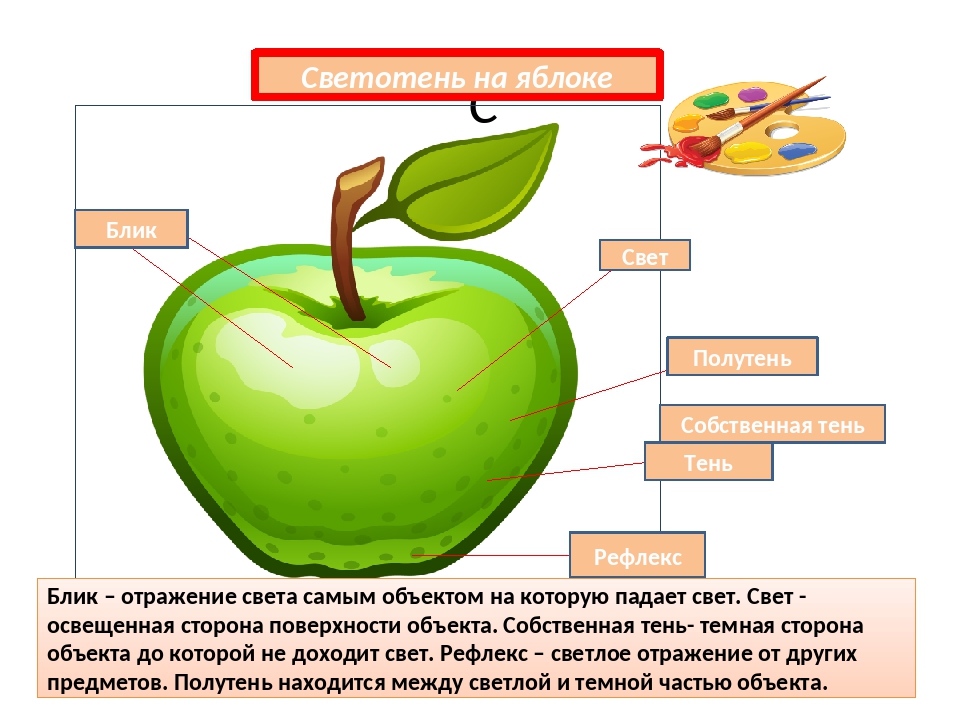 Диаграмма яблока. Яблоко Светотень. Яблоко свет и тень. Яблоко свет блик тень полутень. Рефлекс на яблоке.