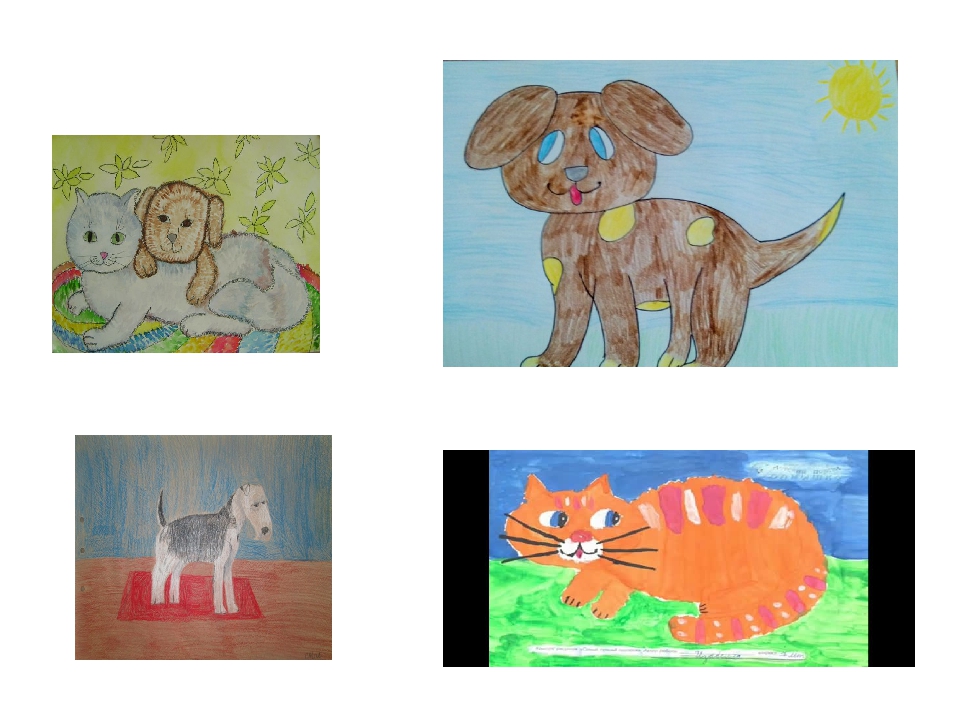 Мое любимое животное 2 класс. Рисунки на изо. Изображение характера животных. Рисунок любимого животного. Характер животного рисунок.