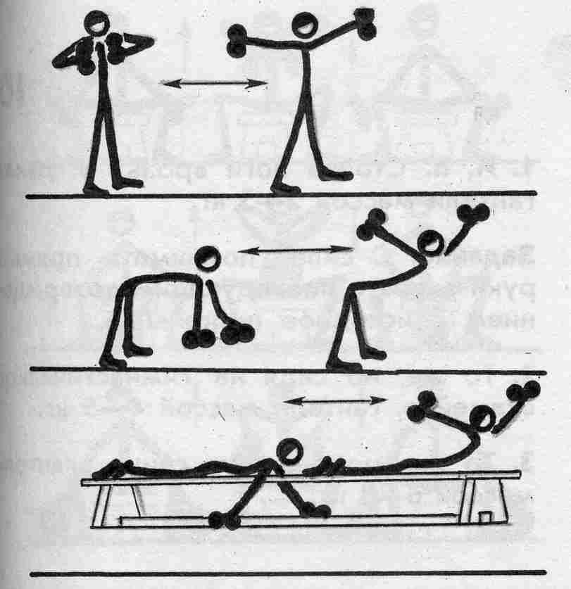 На рисунке изображены упражнения. Круговая тренировка на развитие выносливости. Комплекс упражнений на развитие силы круговая тренировка. Комплекс упражнений для круговой тренировки по легкой атлетике. Развивающие упражнения по физкультуре.