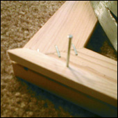 Nail in Trim