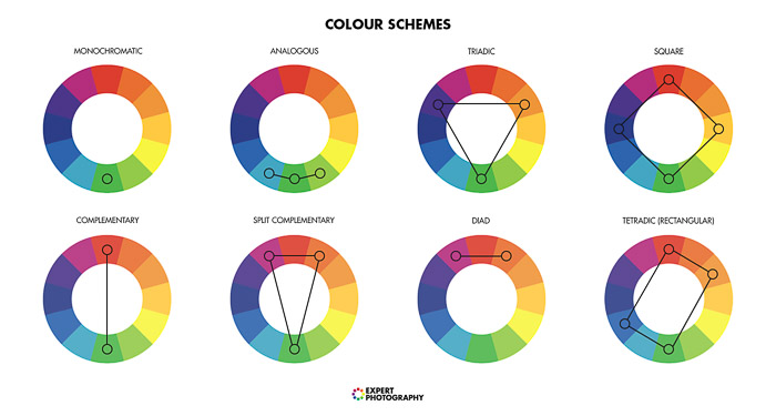 A diagram explaining color theory 