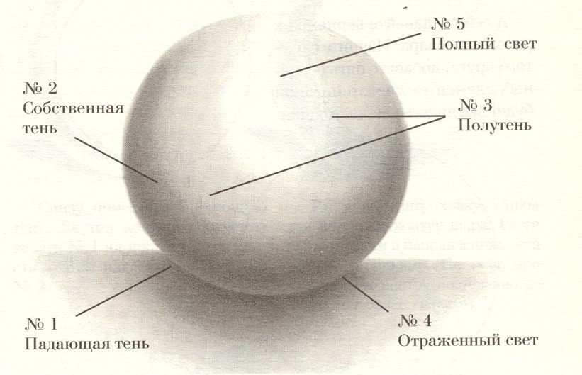 Виды теней рисунок