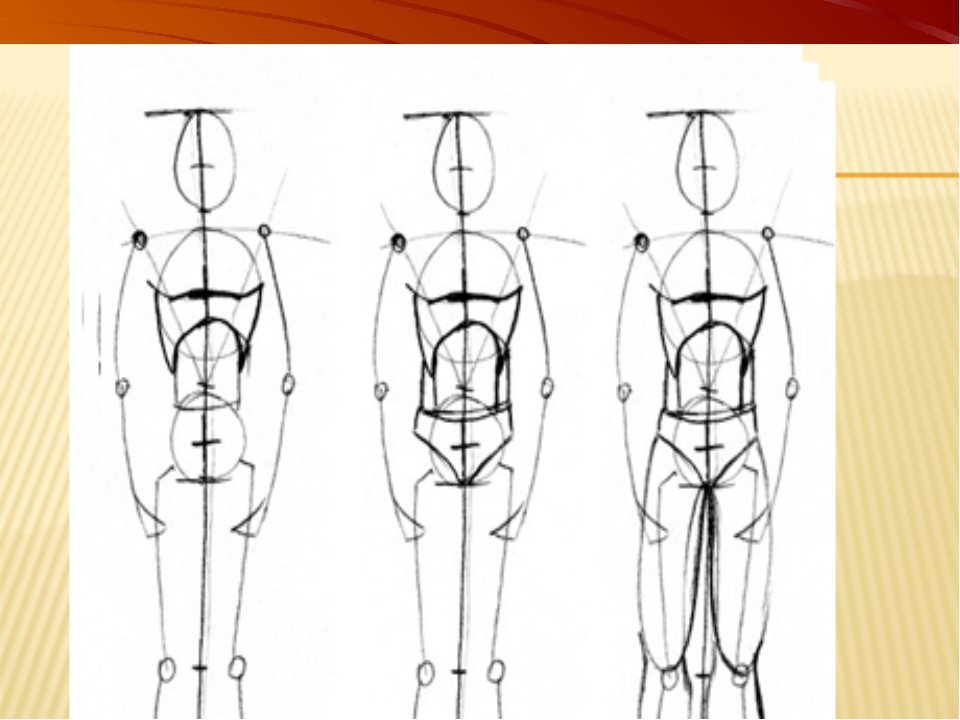 Уроки построение человека. Этапы рисования фигуры человека. Пропорции человеческого тела. Человек рисунок. Фигура человека рисунок.