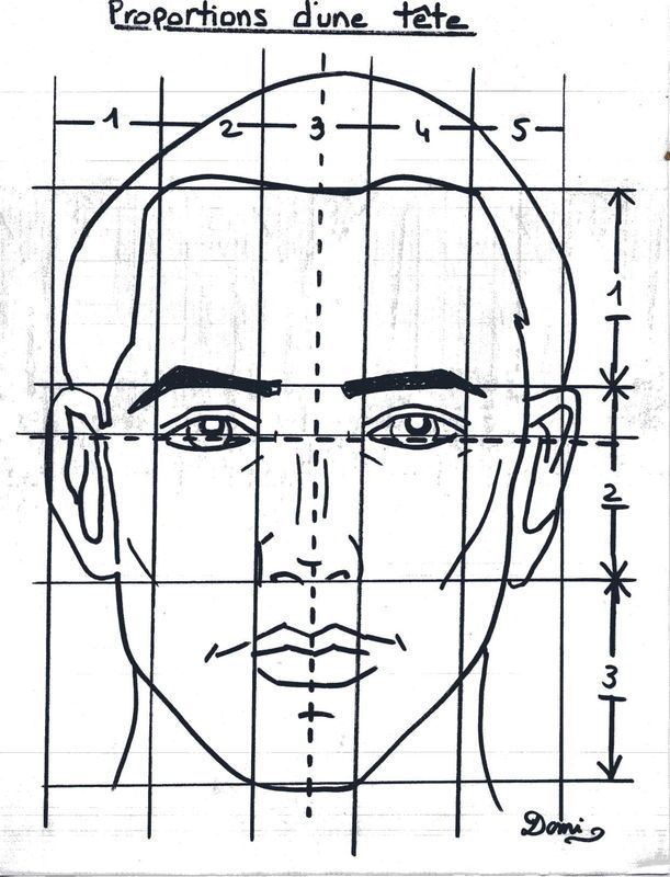 Лицо рисунок схема. Портрет (конструкция головы человека. Анфас, профиль). Пропорции головы человека рисунок. Пропорции головы человека схемы для рисования. Портрет пропорции лица человека.