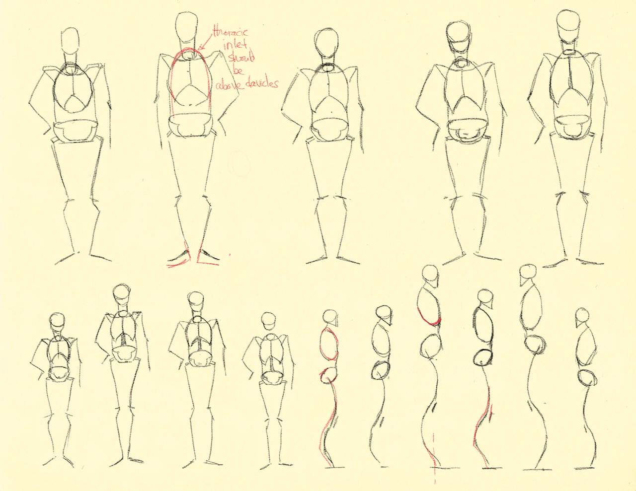 Как нарисовать человека поэтапно. Схема тела человека для рисования. Поэтапный рисунок человека. Рисование людей для начинающих. Уроки рисования тела человека.