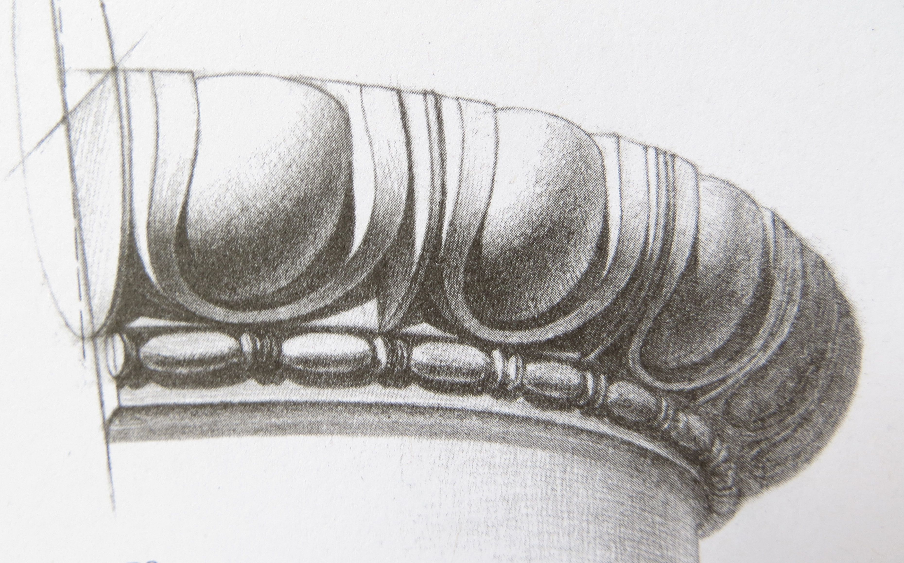 Капитель рисунок академический