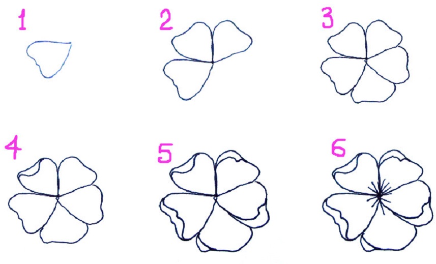 Цветок легко и просто нарисовать