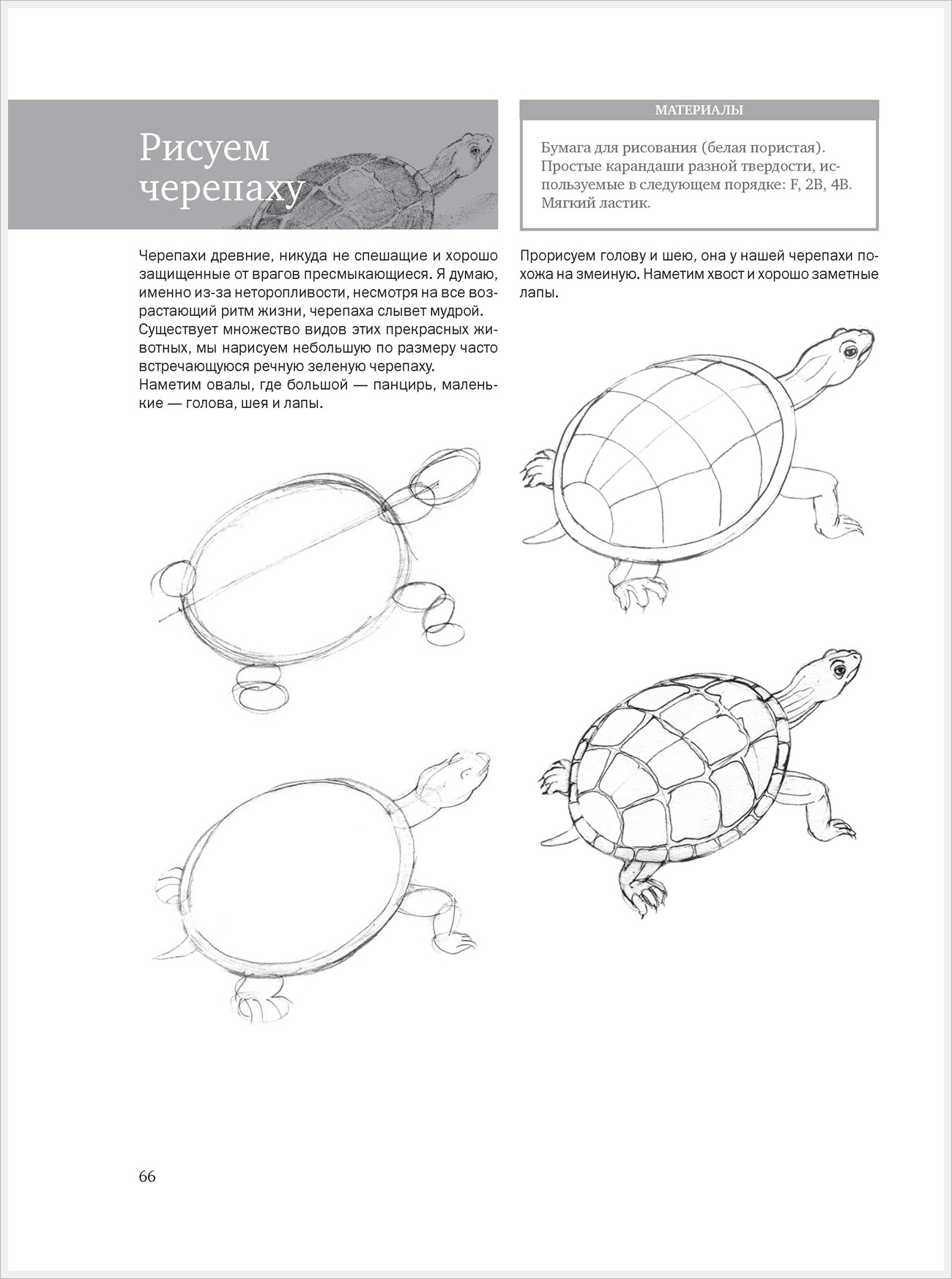 Как нарисовать черепаху поэтапно как нарисовать черепаху поэтапно