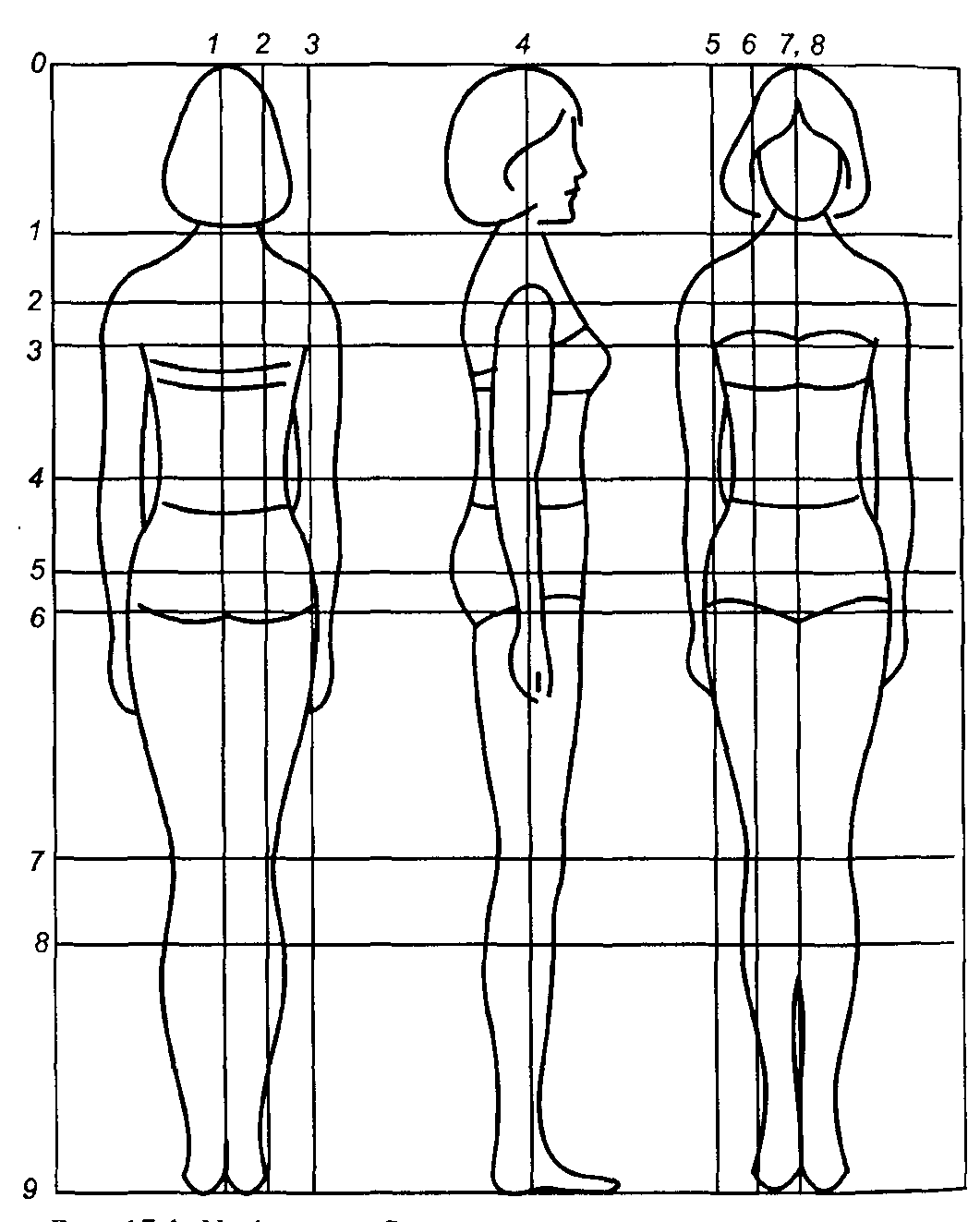 Рисунок с размерами линиями. Фигура для технического рисунка. Фигура для технического эскиза. Технический рисунок женской фигуры. Пропорции женской фигуры.