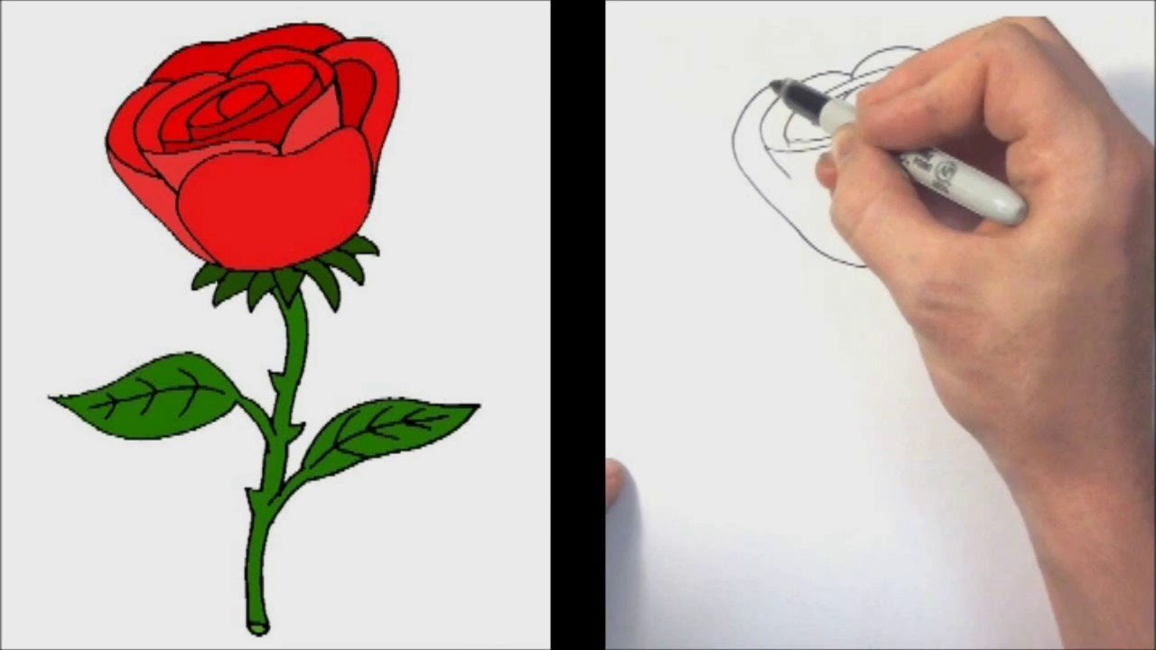 Нарисовать розу ребенку