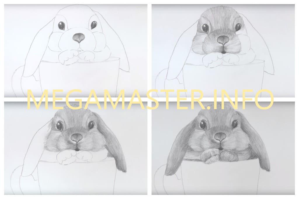 Рисунок кролика графитными карандашами (Шаг 2)