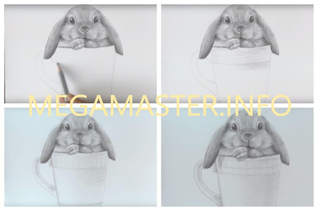 Рисунок кролика графитными карандашами (Шаг 3)