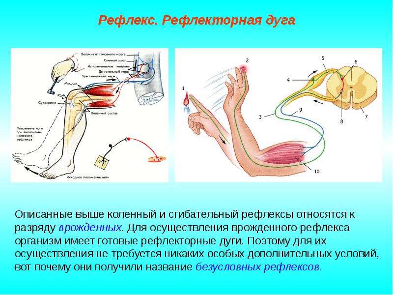 Как сделать рефлексы в фотошопе