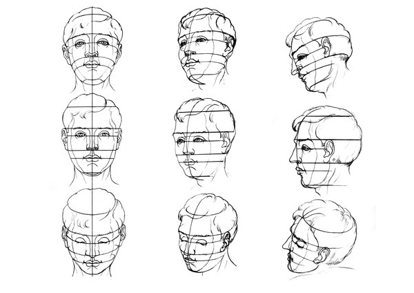 Схема построения головы человека