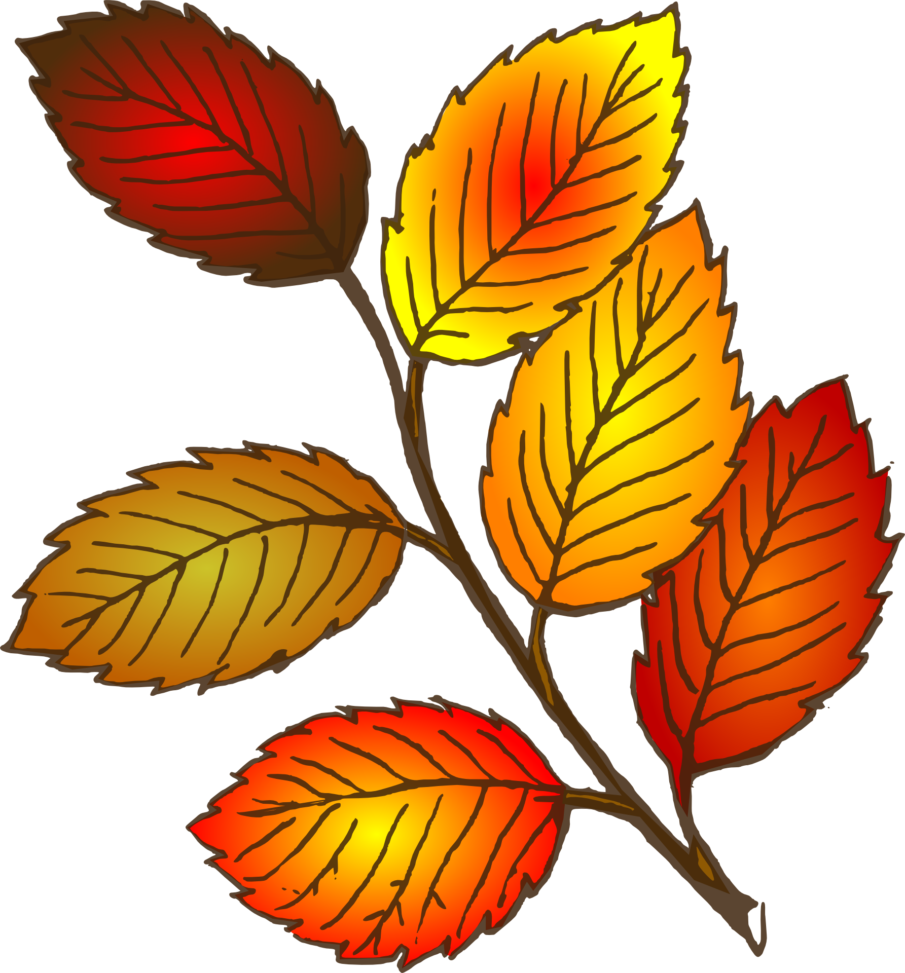 Лист рисунок цветной. Осенние листочки. Рисунки осенних листьев. Осенние листья картинки. Осенние веточки цветные.