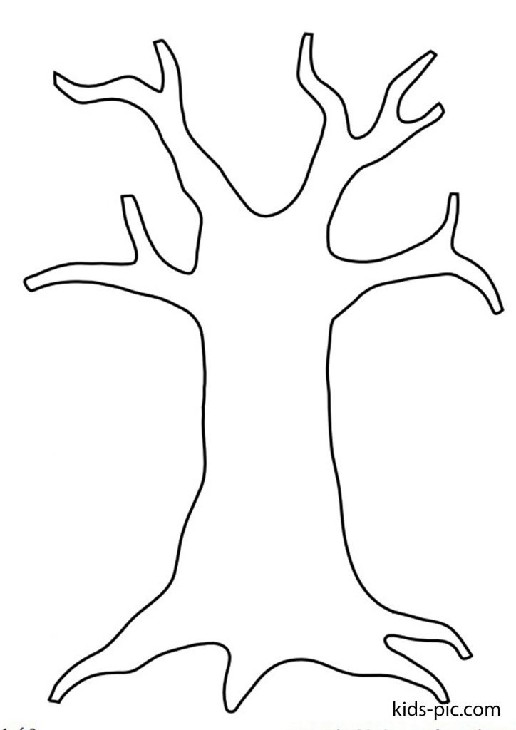 Картинка ствол дерева для детей (1)