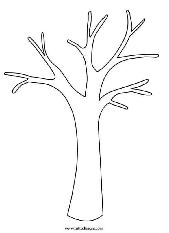 Картинка ствол дерева для детей (11)