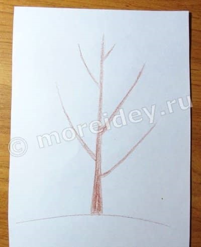 Картинка ствол дерева для детей (19)