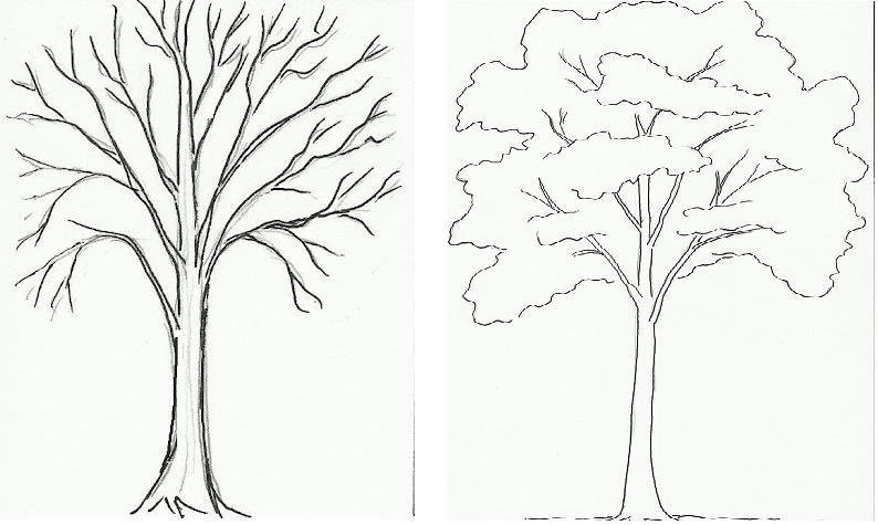 Дерево картинка для рисования